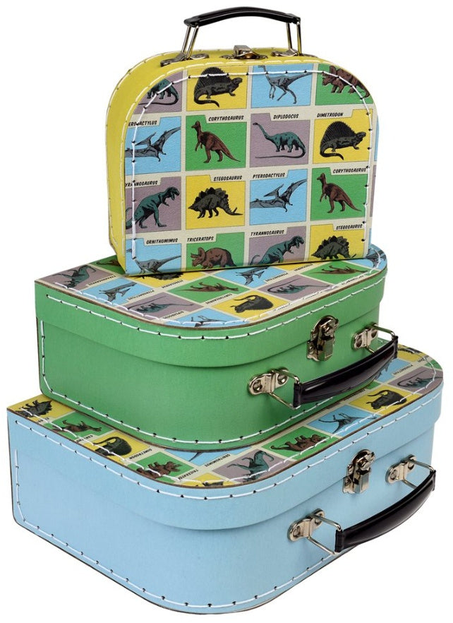 Jurassic Dinosaur Land - Storage Cases