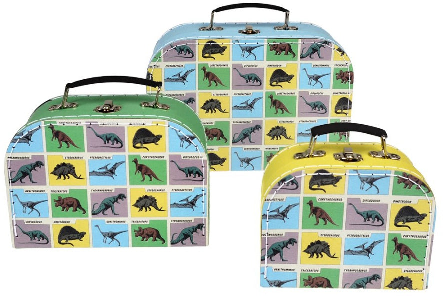 Jurassic Dinosaur Land - Storage Cases