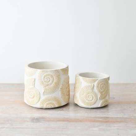 Ammonite Plant Pot - Small