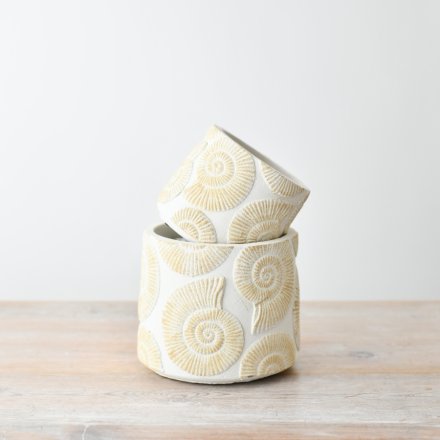 Ammonite Plant Pot - Small