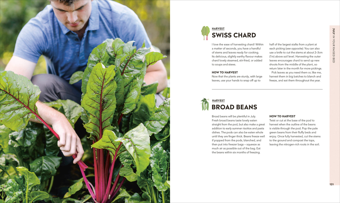 Veg in One Bed