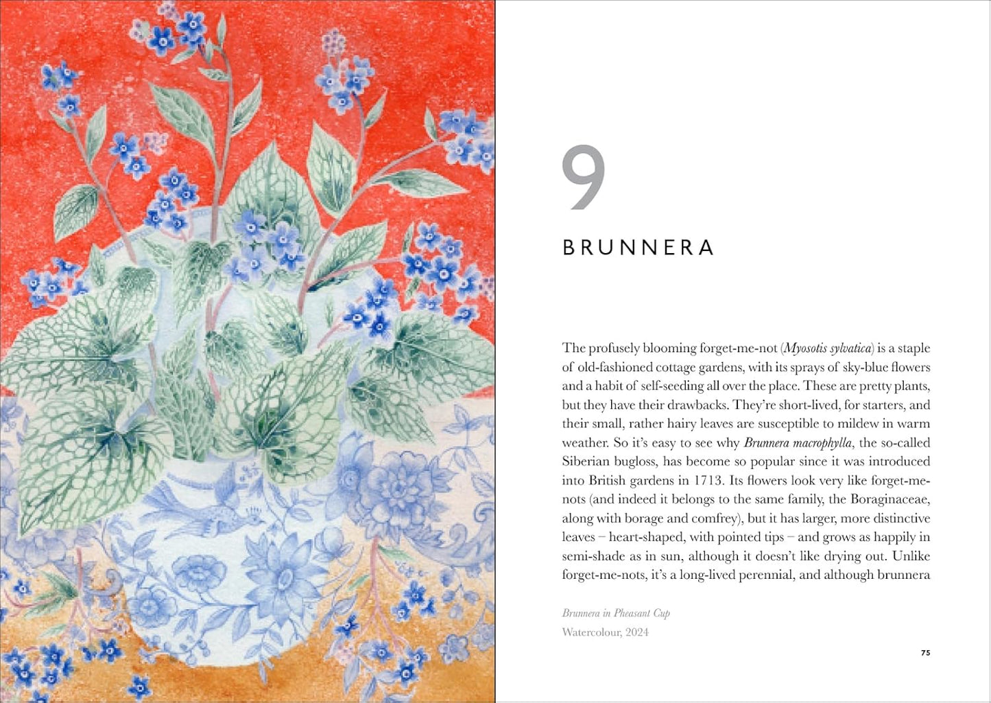 The Book of Garden Flowers
