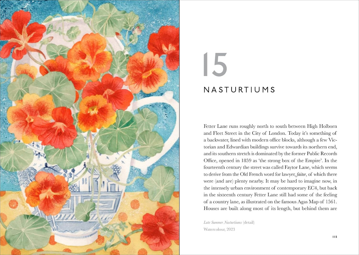 The Book of Garden Flowers
