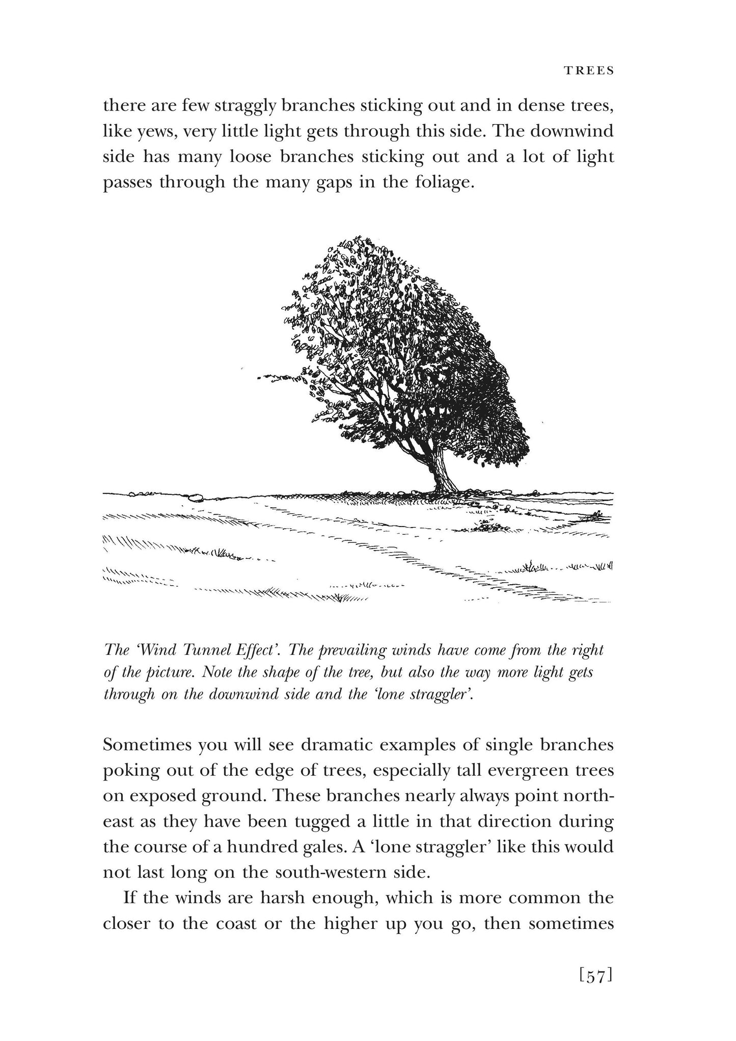 Walkers Guide To Outdoor Clues & Signs