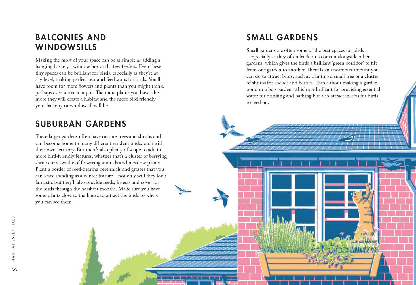 Planting For Garden Birds: A Growers Guide