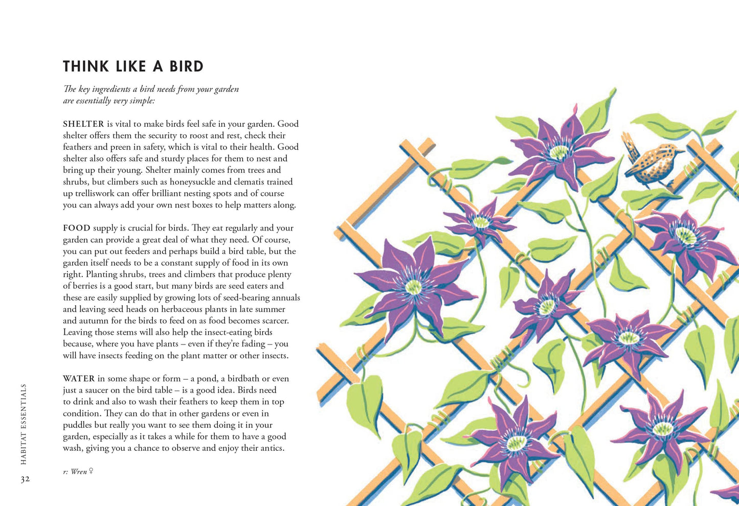 Planting For Garden Birds: A Growers Guide