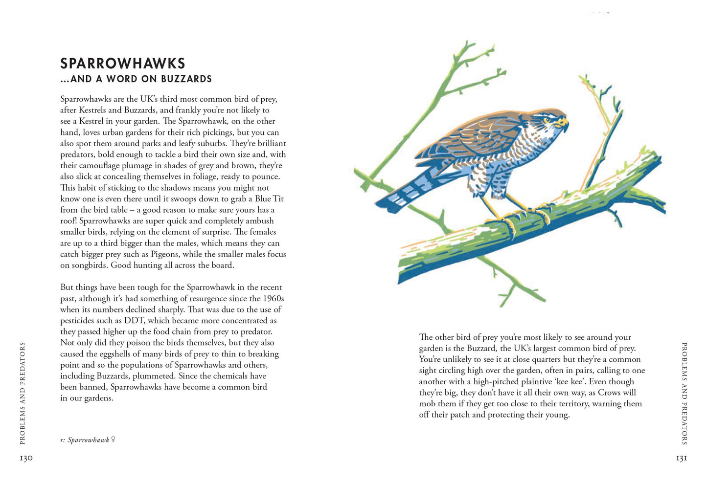 Planting For Garden Birds: A Growers Guide