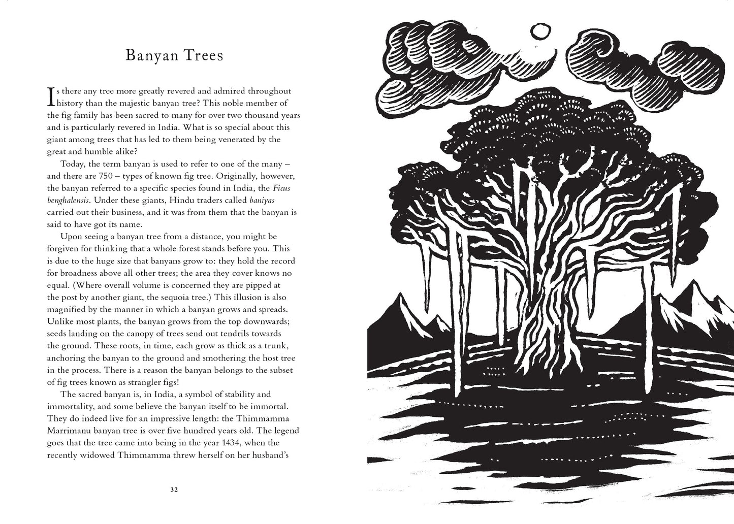 Treasury of Folklore: Woodlands & Forests