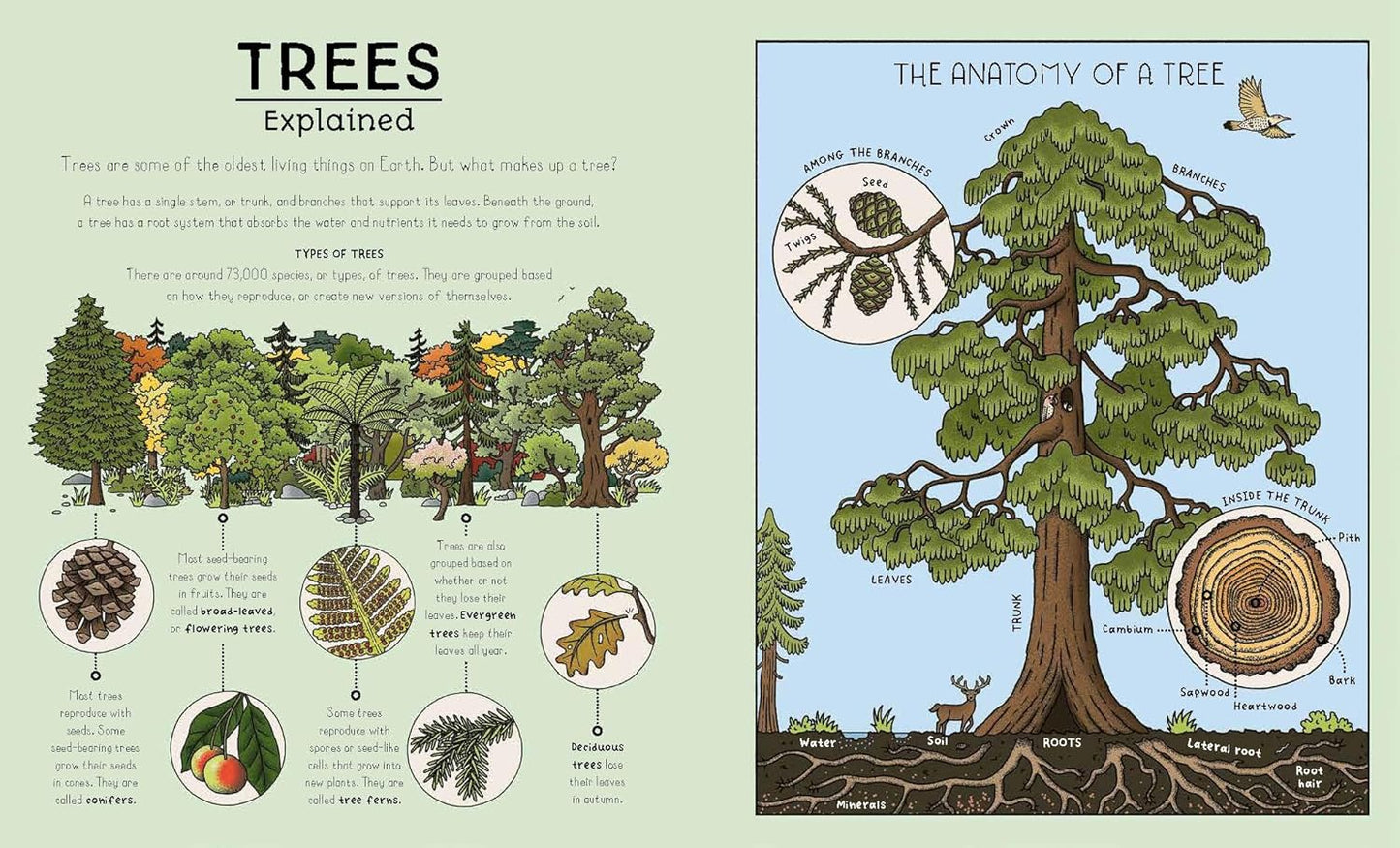 Nature Explained