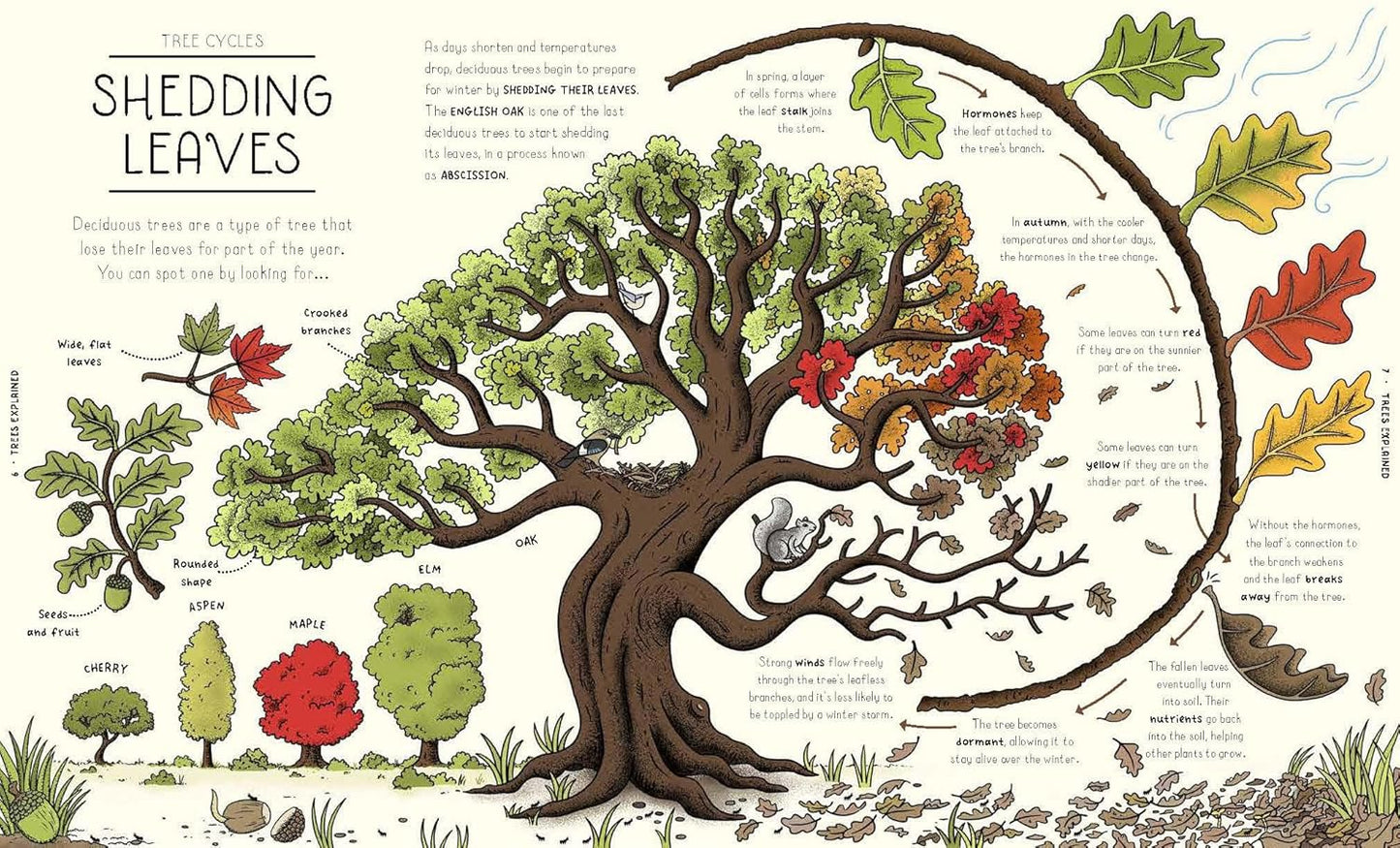 Nature Explained