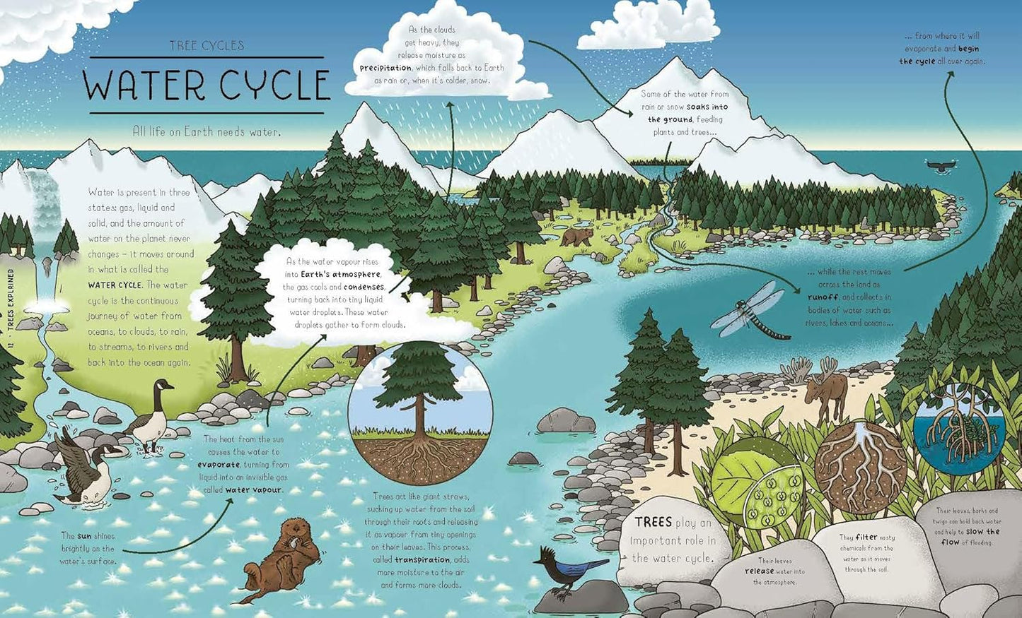 Nature Explained