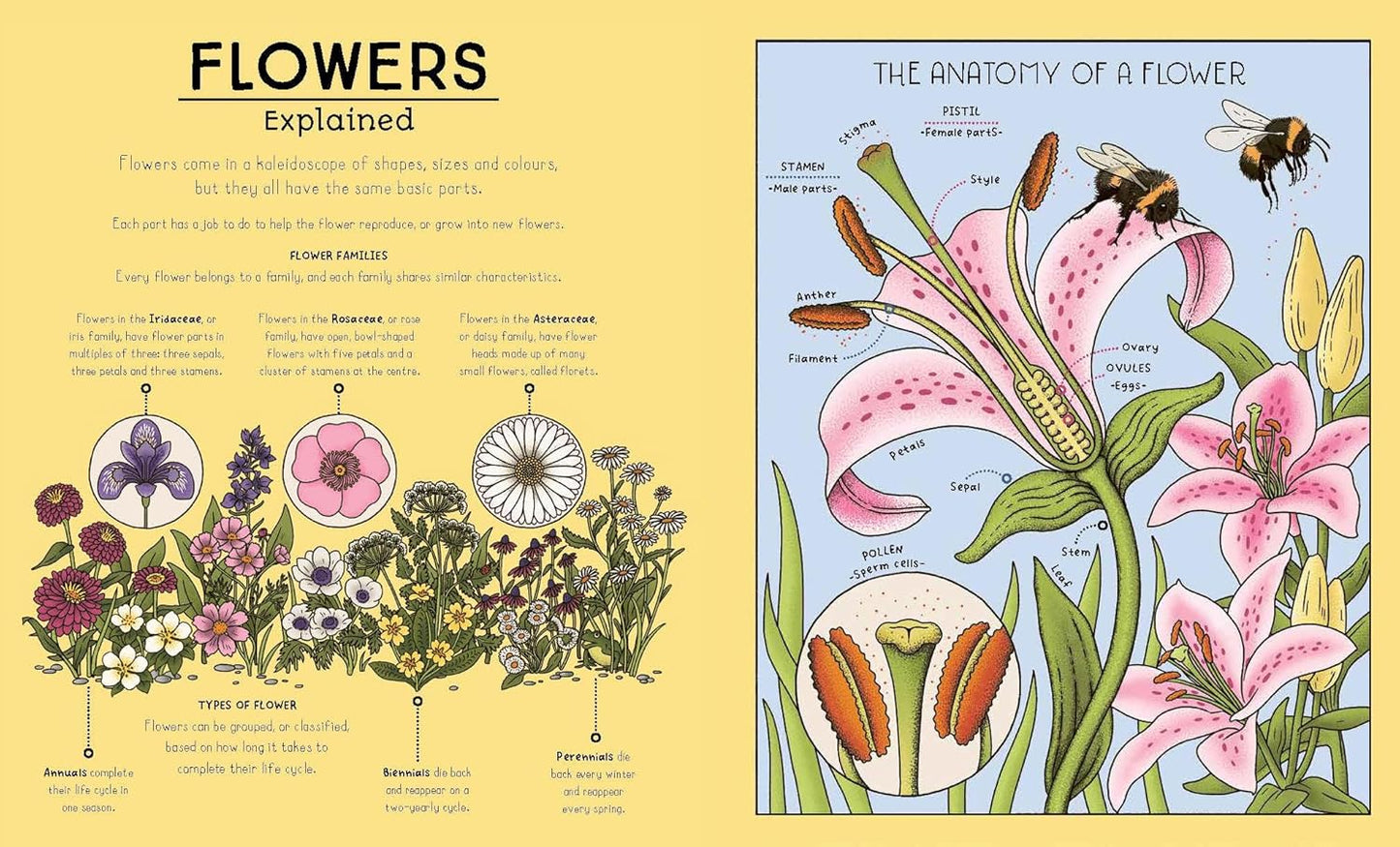 Nature Explained