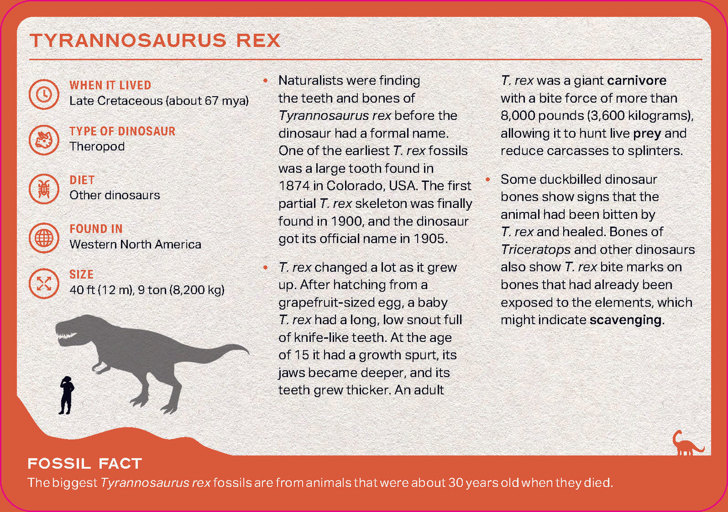The Dinosaur Deck (Cards)