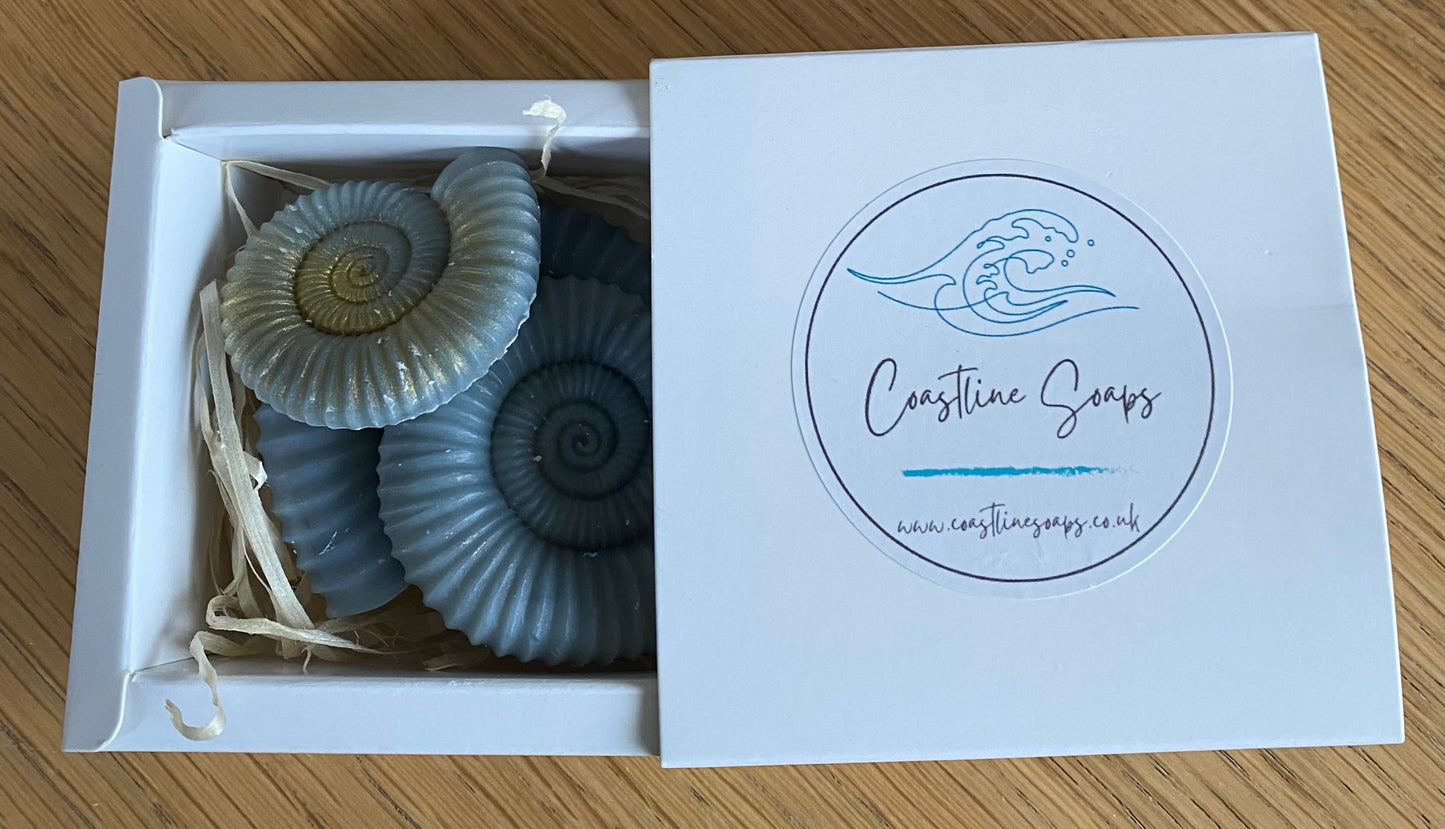 Boxed Set of Ammonite Soaps - Coastline Soaps & Skincare