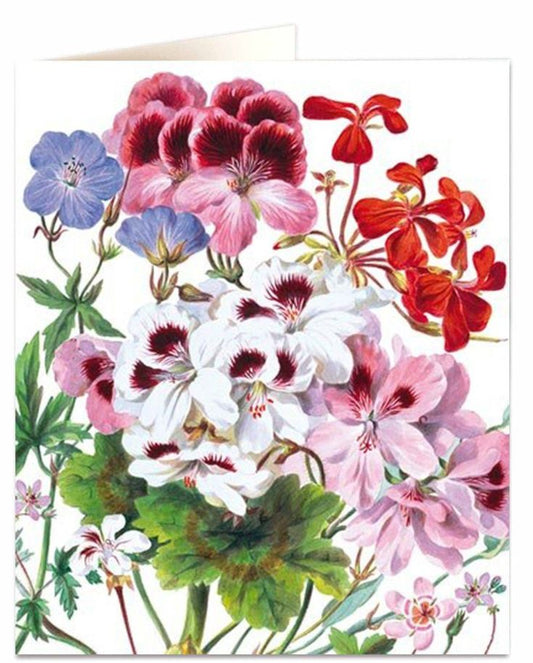 Greetings Card, Pink Rose Card
