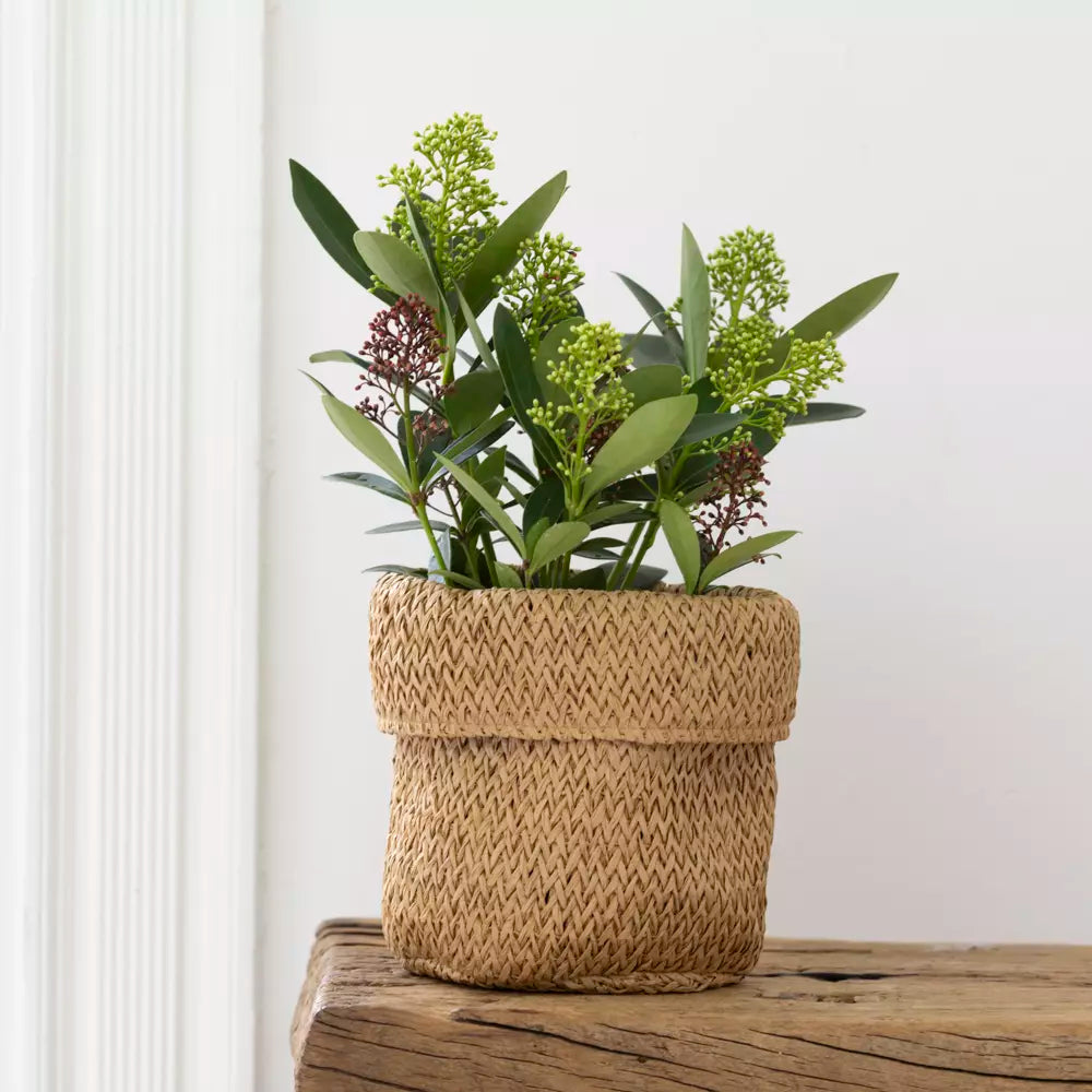 Recycled Paper Planter with Lining