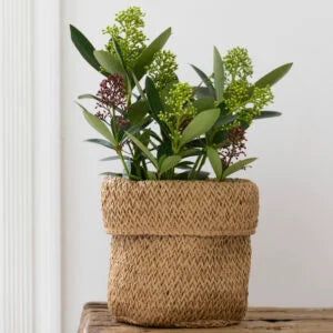 Recycled Paper Planter with Lining