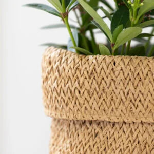Recycled Paper Planter with Lining