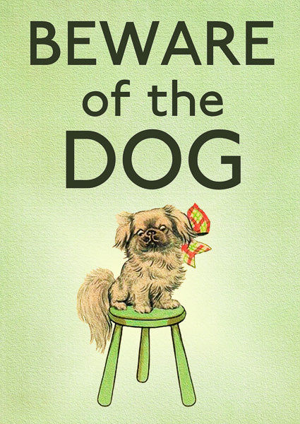 Beware of the DOG