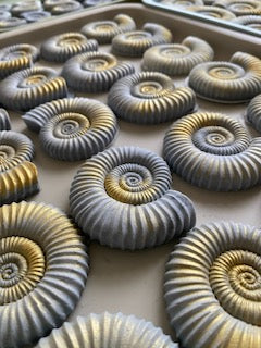 Boxed Set of Ammonite Soaps - Coastline Soaps & Skincare