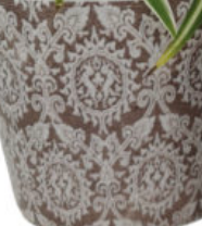 Plant Pot Delphi (Large) - Assorted Colours