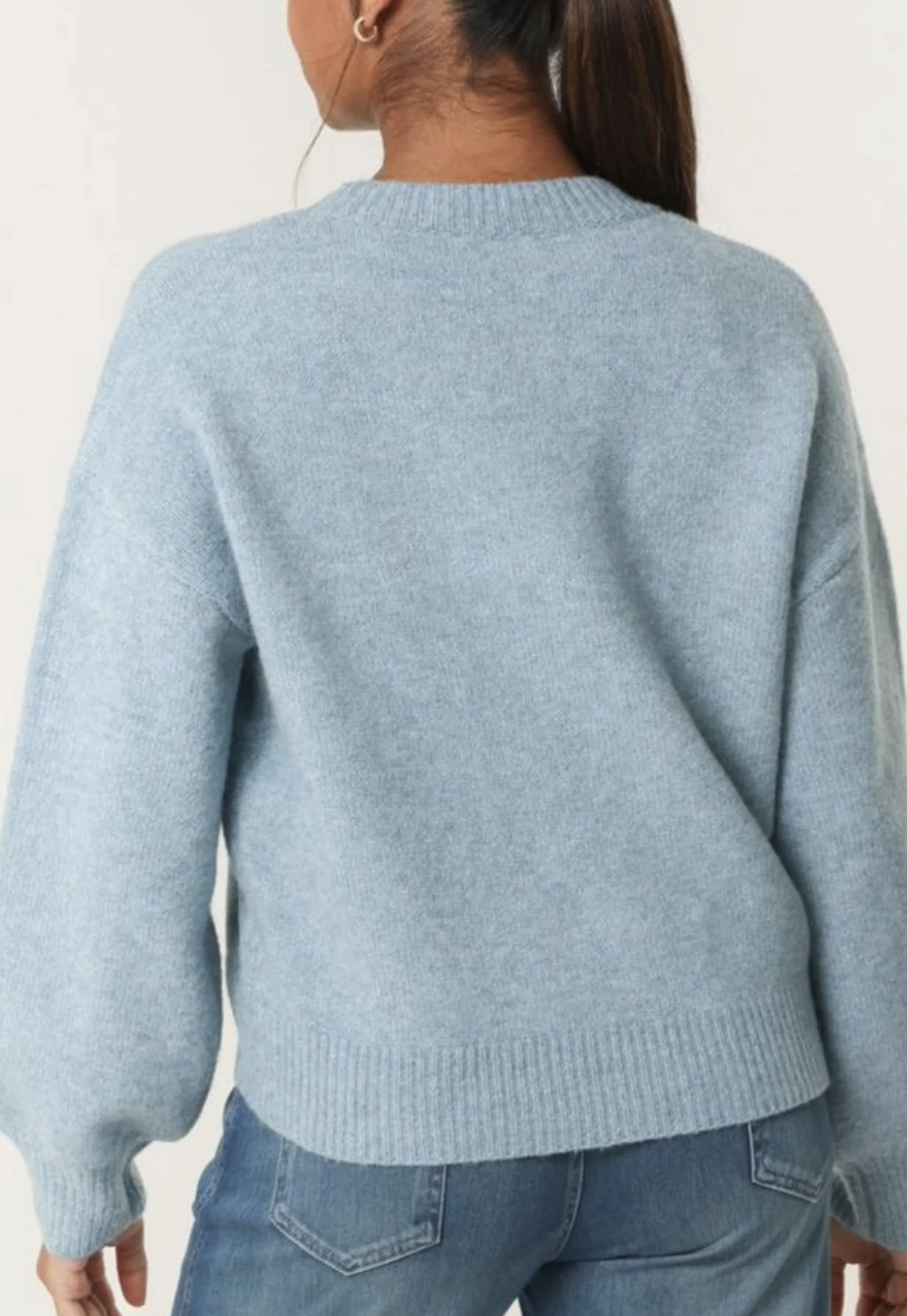 Swan Embroidered Knit Jumper - Blue