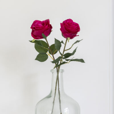 Rose Stem - Red