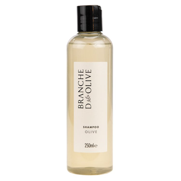 Hair Care, Shampoo - Olive
