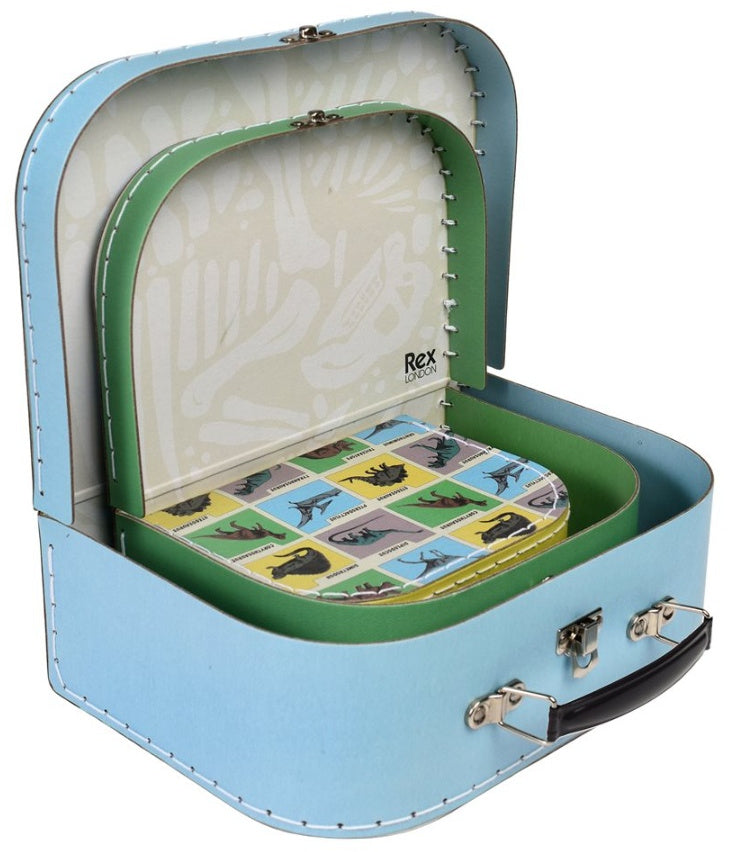 Jurassic Dinosaur Land - Storage Cases