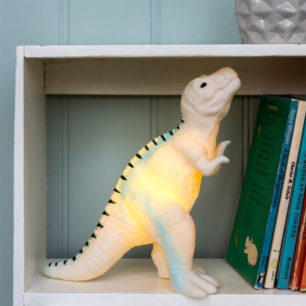Childs Dinosaur Night Light