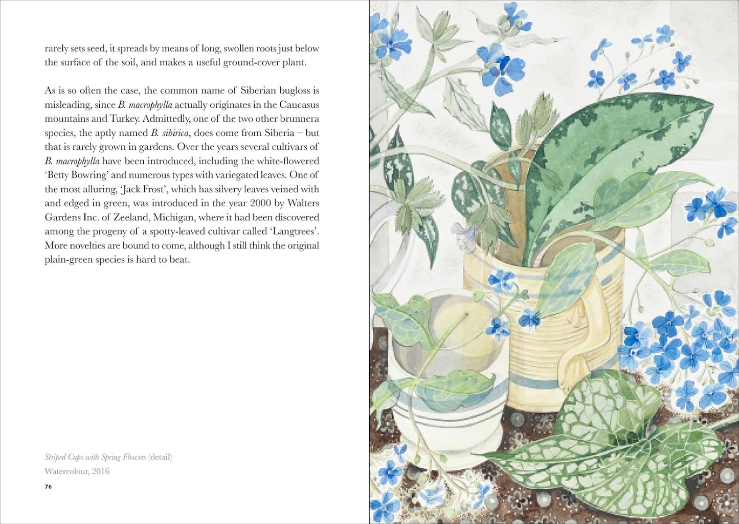 The Book of Garden Flowers