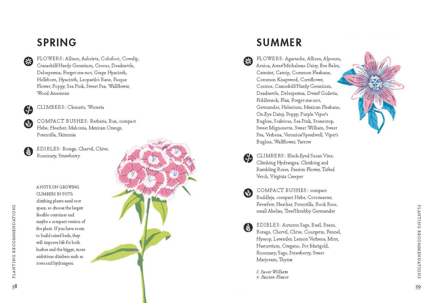 Planting For Honey Bees: A Growers Guide
