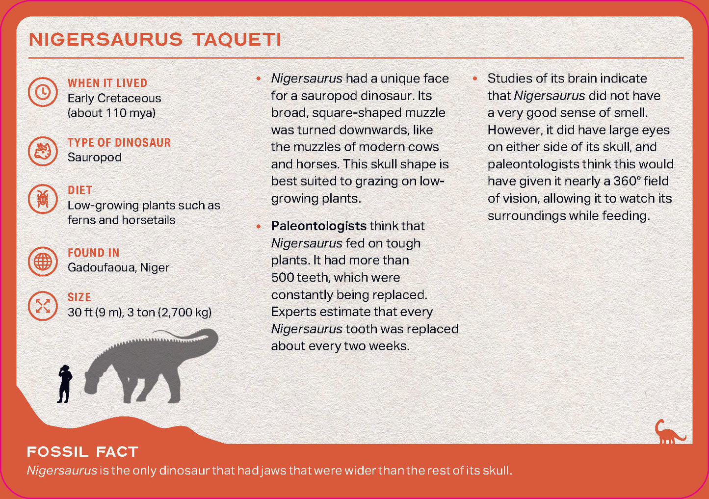 The Dinosaur Deck (Cards)