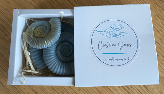 Boxed Set of Ammonite Soaps - Coastline Soaps & Skincare