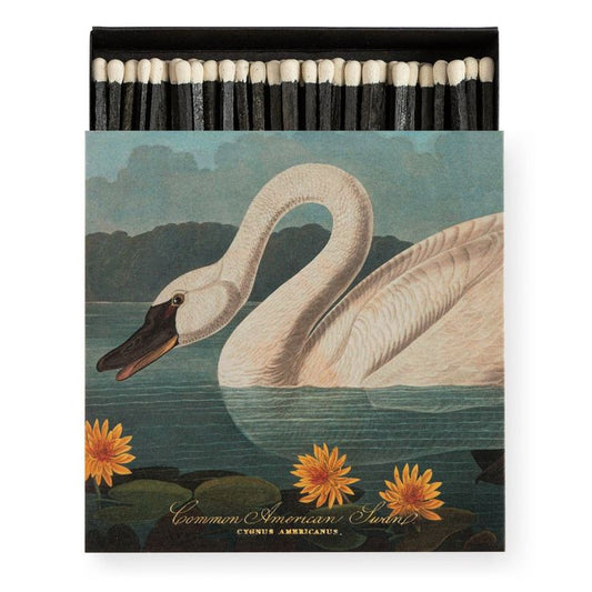 Bottle of Matches - The Common American Swan by Audubon
