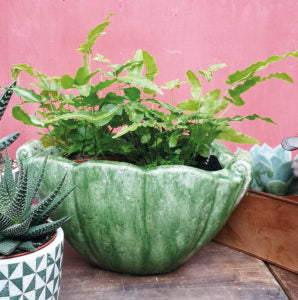 Handmade Shell Planter - Verde