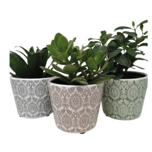 Plant Pot Delphi (Large) - Assorted Colours