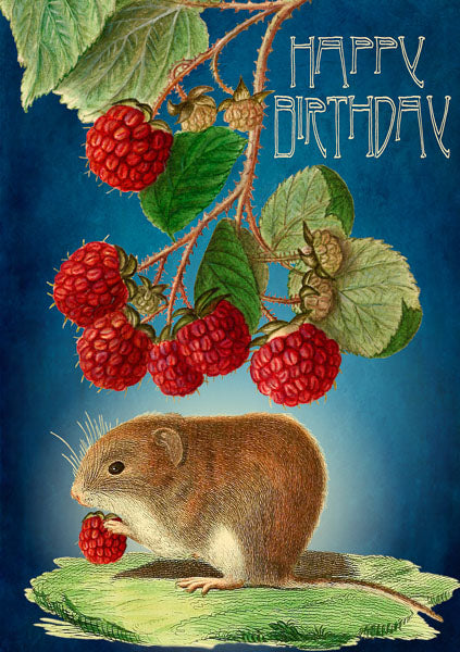 Field Mouse