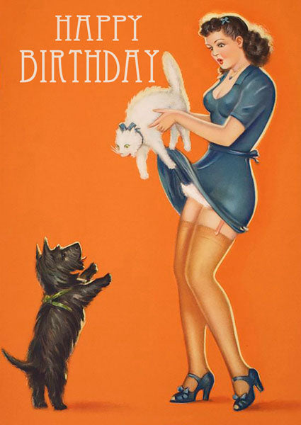 Cat & Dog