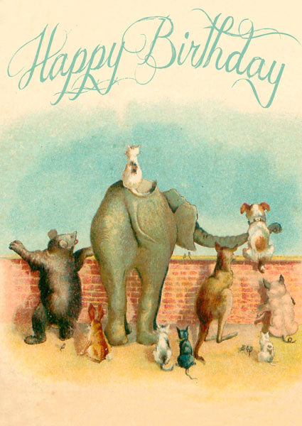 Happy Birthday - Looking Over the Wall