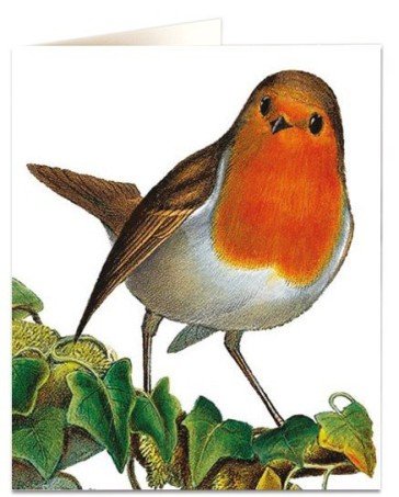 Robins