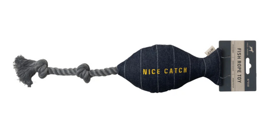 Fish Toy "Nice Catch"