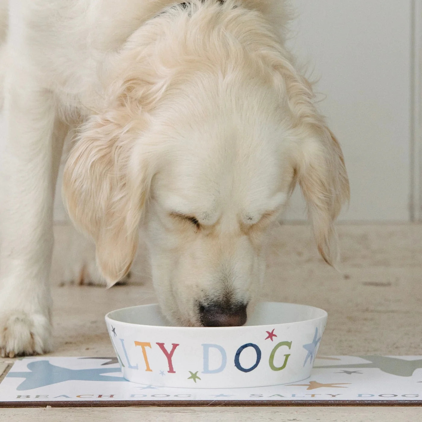 Dog Feeding Mat