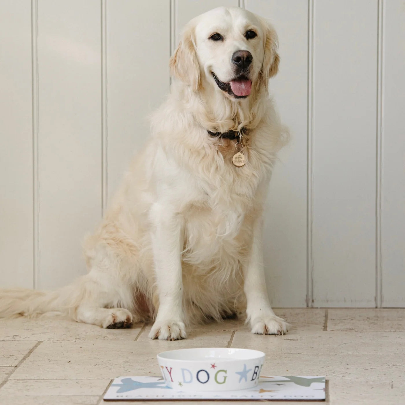 Dog Feeding Mat
