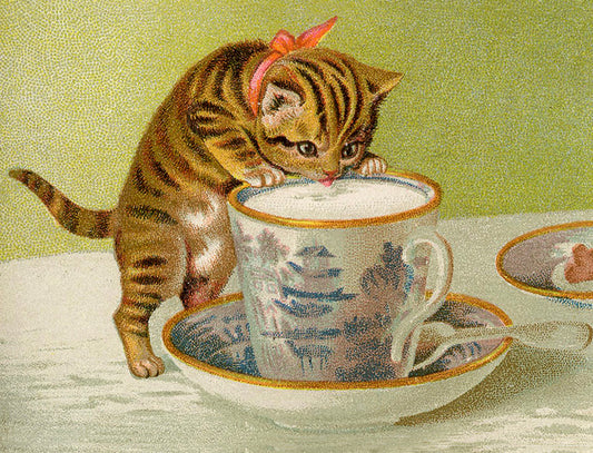 Kitty - Greeting Card
