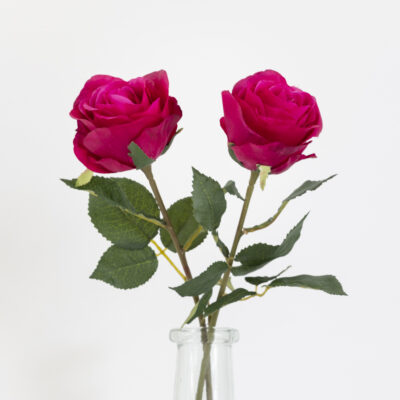 Rose Stem - Red