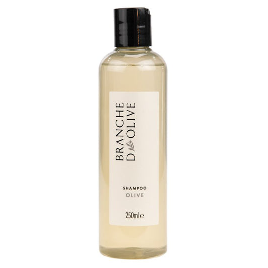 Hair Care, Shampoo - Olive